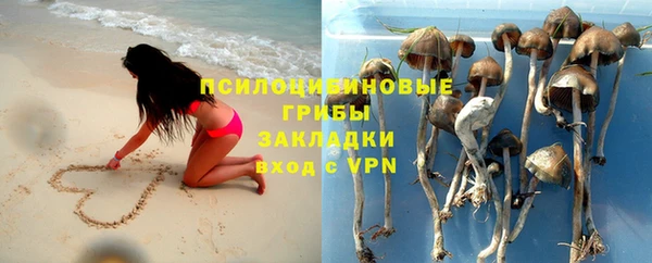 марки lsd Ельня