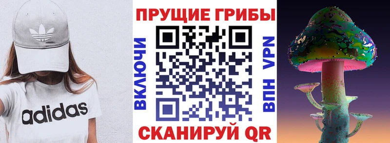 Галлюциногенные грибы мицелий  Невинномысск 
